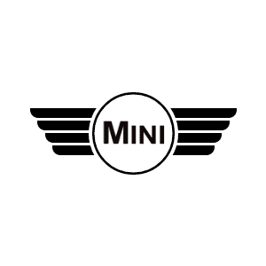 MINI ROVER
